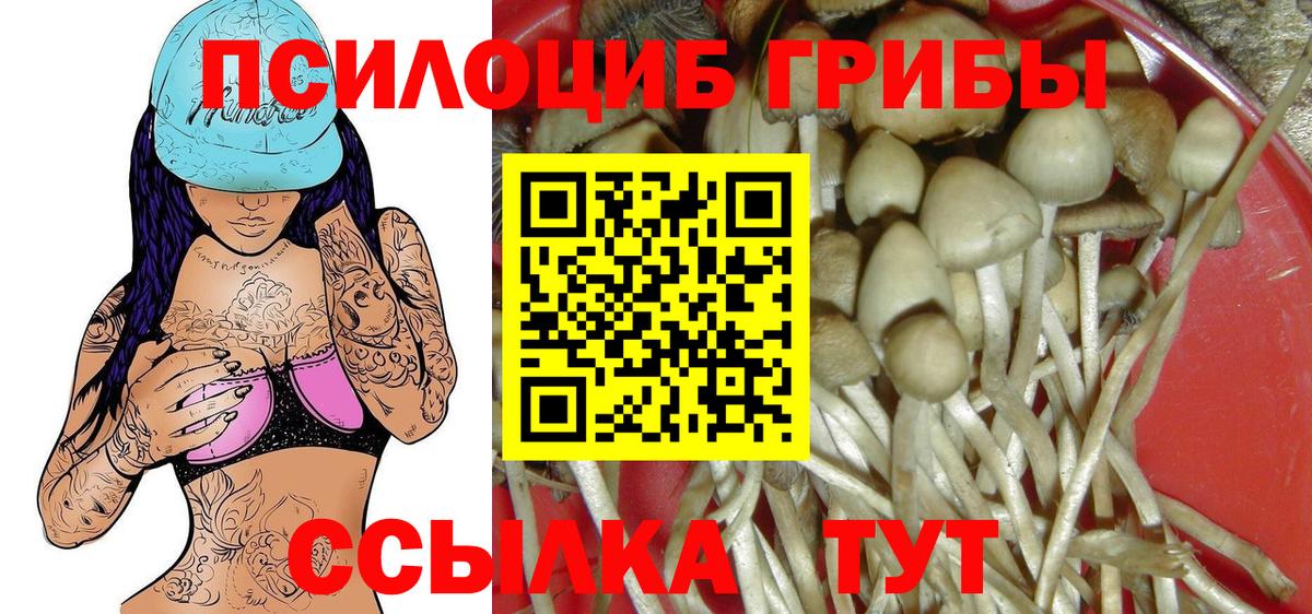 Галлюциногенные грибы мухоморы Дедовск