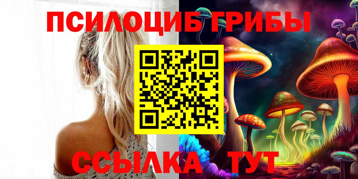 Дедовск  Псилоцибиновые грибы мицелий  Вход с VPN 